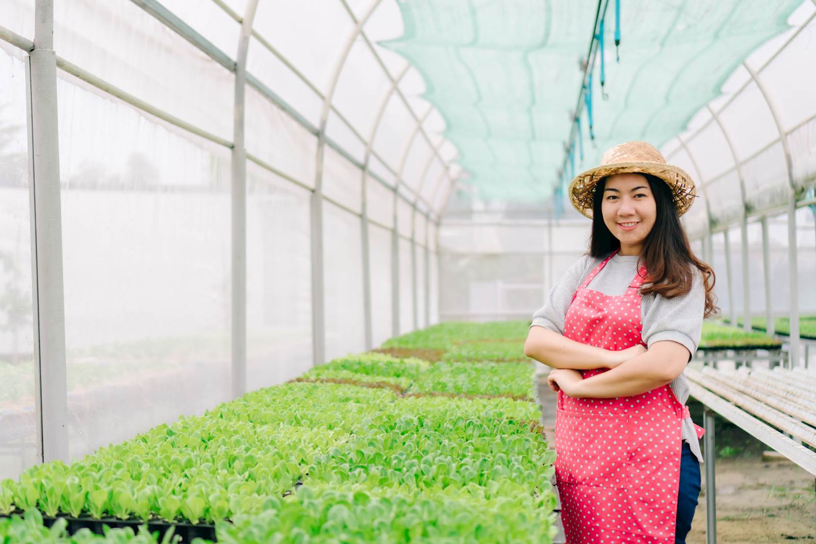 Woman standing in greenhouse with plants